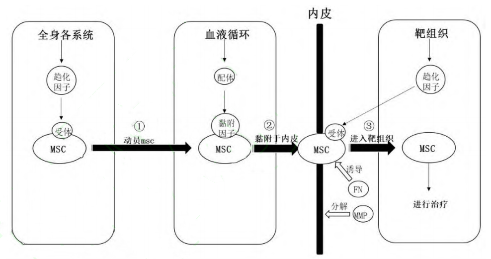 bet·356手机版(中国)登录网址-IOS/Android版